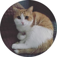 zuzu
