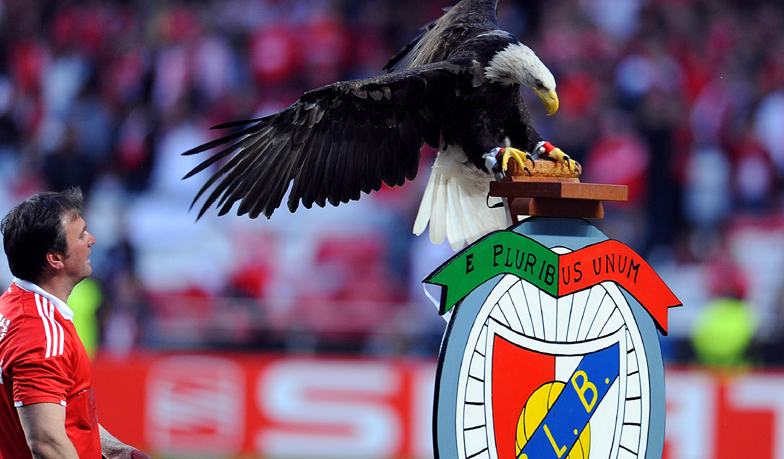 Foto: Oficjalnie: Benfica potwierdza cenę transferu Carrerasa