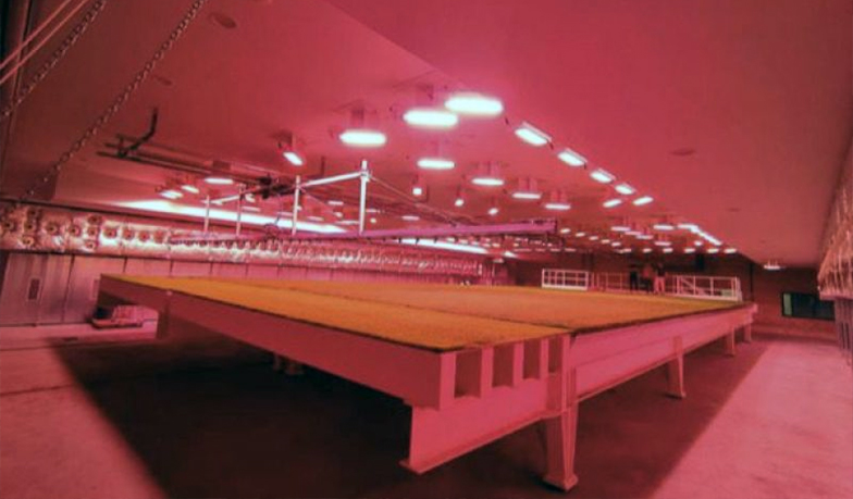 Foto: Laboratorium do badania murawy na Bernabéu