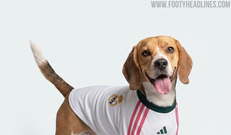 Adidas wypuścił specjalne stroje klubowe dla zwierząt [FOTO]